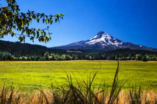 Mt. Hood-8472 Mt. Hood-8472